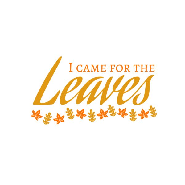 Fall Season 28 Thumbnail