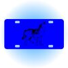 Copy of Personalized 3 X 6 Heavy Duty Acrylic / Plastic License Plate Thumbnail