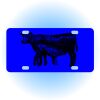 Copy of Personalized 3 X 6 Heavy Duty Acrylic / Plastic License Plate Thumbnail
