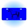 Copy of Personalized 3 X 6 Heavy Duty Acrylic / Plastic License Plate Thumbnail