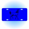Copy of Personalized 3 X 6 Heavy Duty Acrylic / Plastic License Plate Thumbnail