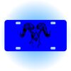 Copy of Personalized 3 X 6 Heavy Duty Acrylic / Plastic License Plate Thumbnail