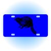 Copy of Personalized 3 X 6 Heavy Duty Acrylic / Plastic License Plate Thumbnail