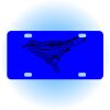 Copy of Personalized 3 X 6 Heavy Duty Acrylic / Plastic License Plate Thumbnail