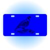 Copy of Personalized 3 X 6 Heavy Duty Acrylic / Plastic License Plate Thumbnail