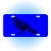 Copy of Personalized 3 X 6 Heavy Duty Acrylic / Plastic License Plate Thumbnail