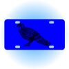 Copy of Personalized 3 X 6 Heavy Duty Acrylic / Plastic License Plate Thumbnail