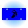 Copy of Personalized 3 X 6 Heavy Duty Acrylic / Plastic License Plate Thumbnail