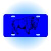 Copy of Personalized 3 X 6 Heavy Duty Acrylic / Plastic License Plate Thumbnail
