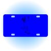 Copy of Personalized 3 X 6 Heavy Duty Acrylic / Plastic License Plate Thumbnail