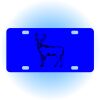 Copy of Personalized 3 X 6 Heavy Duty Acrylic / Plastic License Plate Thumbnail