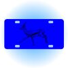 Copy of Personalized 3 X 6 Heavy Duty Acrylic / Plastic License Plate Thumbnail