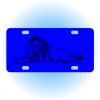 Copy of Personalized 3 X 6 Heavy Duty Acrylic / Plastic License Plate Thumbnail