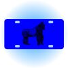Copy of Personalized 3 X 6 Heavy Duty Acrylic / Plastic License Plate Thumbnail