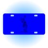 Copy of Personalized 3 X 6 Heavy Duty Acrylic / Plastic License Plate Thumbnail