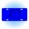 Copy of Personalized 3 X 6 Heavy Duty Acrylic / Plastic License Plate Thumbnail