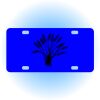 Copy of Personalized 3 X 6 Heavy Duty Acrylic / Plastic License Plate Thumbnail