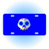 Copy of Personalized 3 X 6 Heavy Duty Acrylic / Plastic License Plate Thumbnail