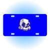 Copy of Personalized 3 X 6 Heavy Duty Acrylic / Plastic License Plate Thumbnail