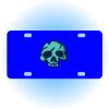 Copy of Personalized 3 X 6 Heavy Duty Acrylic / Plastic License Plate Thumbnail