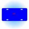 Copy of Personalized 3 X 6 Heavy Duty Acrylic / Plastic License Plate Thumbnail