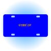 Copy of Personalized 3 X 6 Heavy Duty Acrylic / Plastic License Plate Thumbnail