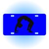 Copy of Personalized 3 X 6 Heavy Duty Acrylic / Plastic License Plate Thumbnail