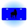 Copy of Personalized 3 X 6 Heavy Duty Acrylic / Plastic License Plate Thumbnail