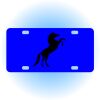 Copy of Personalized 3 X 6 Heavy Duty Acrylic / Plastic License Plate Thumbnail