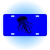 Copy of Personalized 3 X 6 Heavy Duty Acrylic / Plastic License Plate Thumbnail