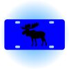 Copy of Personalized 3 X 6 Heavy Duty Acrylic / Plastic License Plate Thumbnail