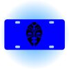 Copy of Personalized 3 X 6 Heavy Duty Acrylic / Plastic License Plate Thumbnail