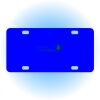 Copy of Personalized 3 X 6 Heavy Duty Acrylic / Plastic License Plate Thumbnail