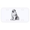 Personalized 3 X 6 Heavy Duty Acrylic / Plastic License Plate Thumbnail