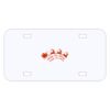 Personalized 3 X 6 Heavy Duty Acrylic / Plastic License Plate Thumbnail