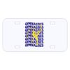 Personalized 3 X 6 Heavy Duty Acrylic / Plastic License Plate Thumbnail